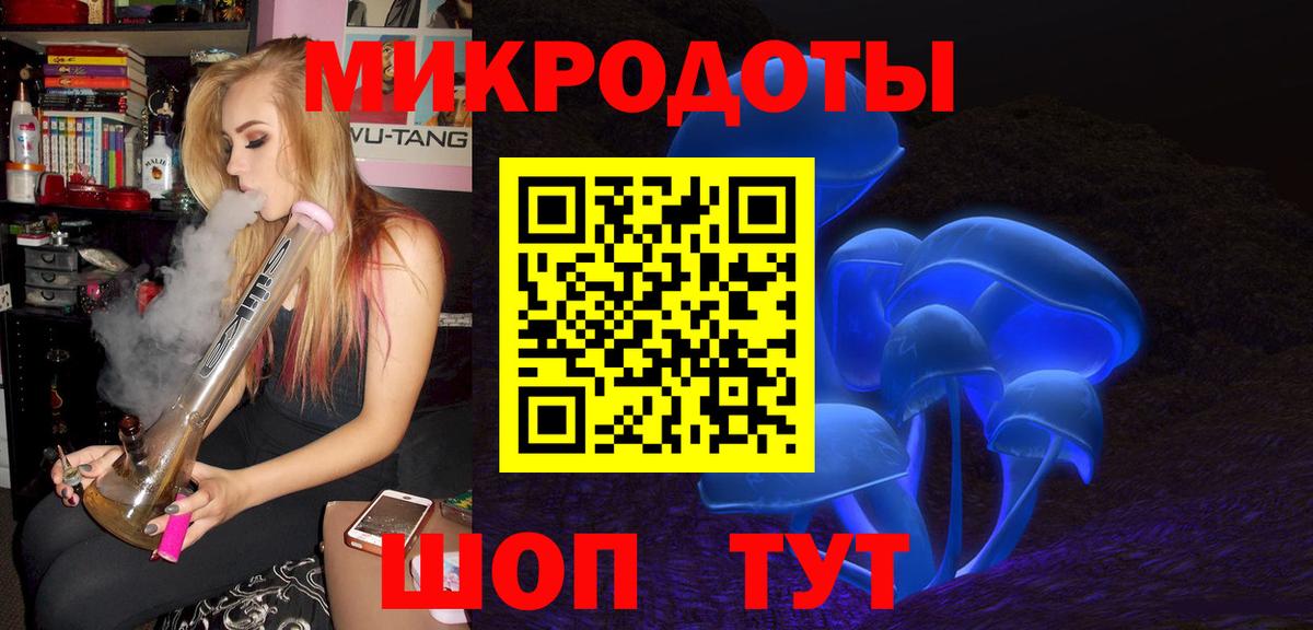 Псилоцибиновые грибы Psilocybine cubensis Грязи